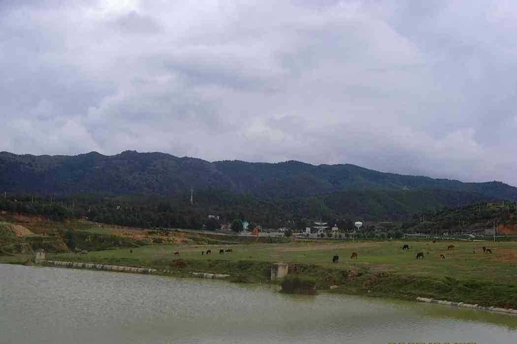 杜旗堡村