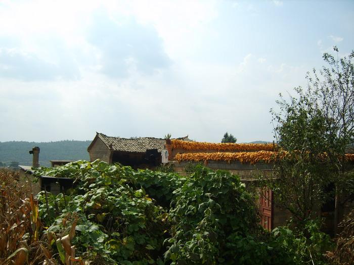 破溝村 破溝村