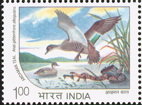 安島灰鴨(印度郵票)