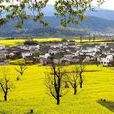 盧村村 盧村村