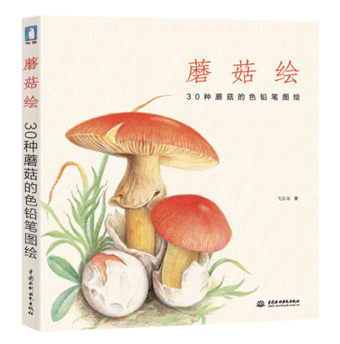 蘑菇繪 蘑菇繪