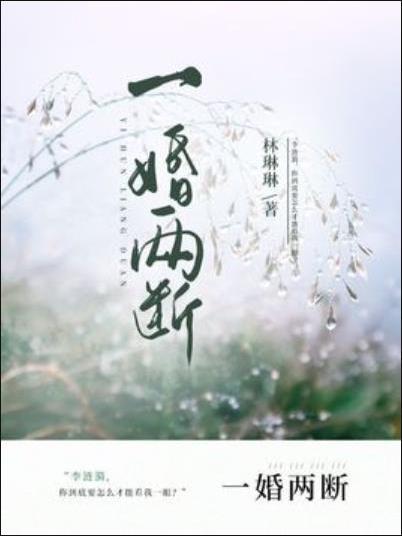 一婚兩斷 一婚兩斷