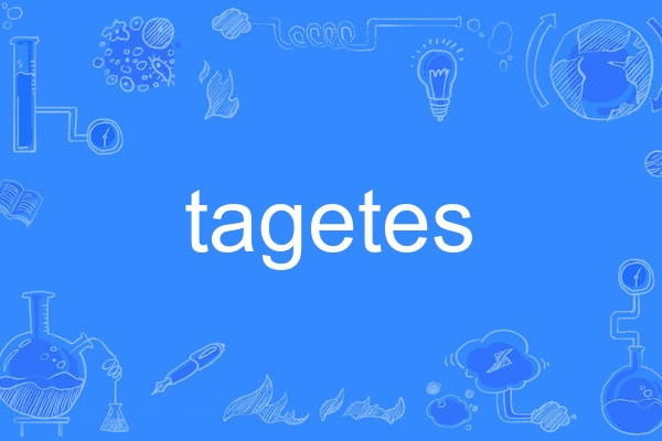 tagetes tagetes
