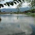打漁村(雲南隆陽區河圖鎮下轄村) 打漁村(雲南隆陽區河圖鎮下轄村)