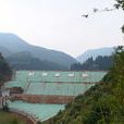 墮卻鄉