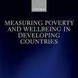 Measuring Poverty and Wellbeing in Developing Countries Measuring Poverty and Wellbeing in Developing Countries