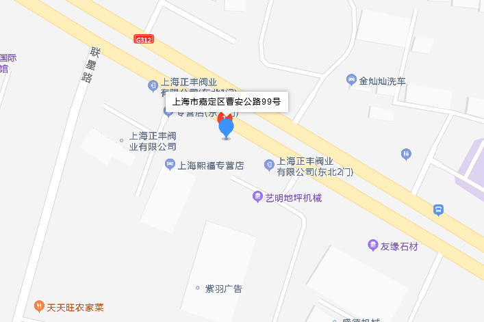 曹安公路99號 曹安公路99號