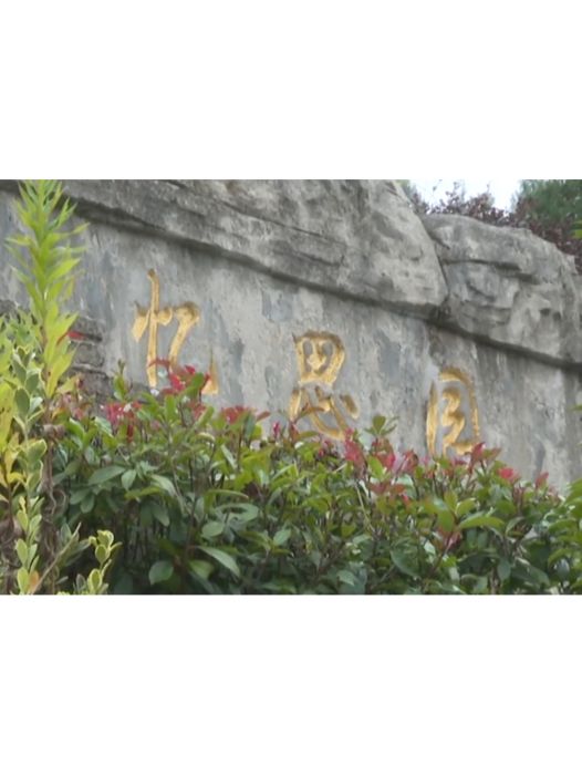 憶思園 憶思園