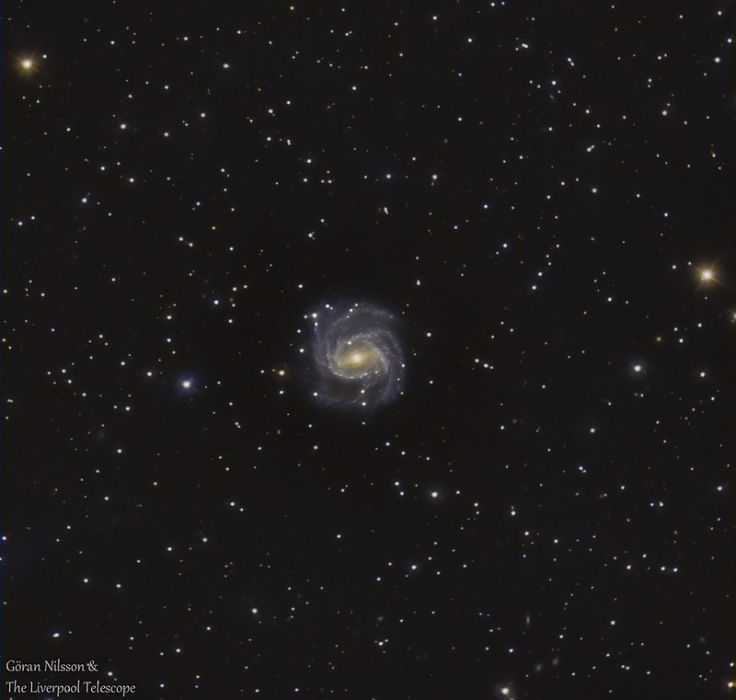 NGC 7080 NGC 7080