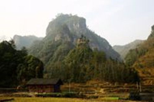 金落河村 金落河村