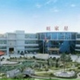 旺家星 旺家星