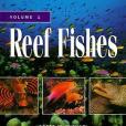 Reef Fishes Reef Fishes