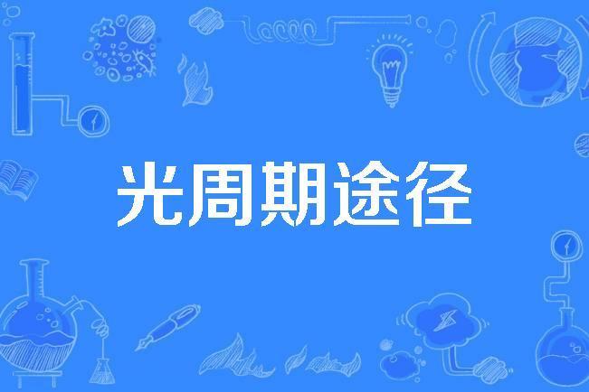 光周期途徑 光周期途徑