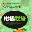 柑橘栽培 柑橘栽培