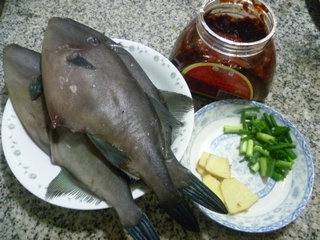 橡皮魚