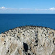 海西皮島(蛋島(中國西藏自治區班公錯蛋島)) 海西皮島(蛋島(中國西藏自治區班公錯蛋島))