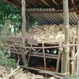 培建村 培建村
