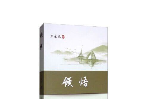 領悟(2019年冶金工業出版社出版的圖書) 領悟(2019年冶金工業出版社出版的圖書)
