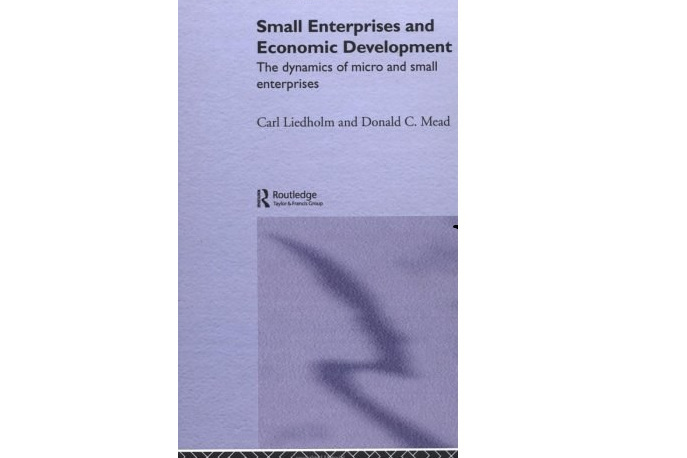Small Enterprises and Economic Development Small Enterprises and Economic Development