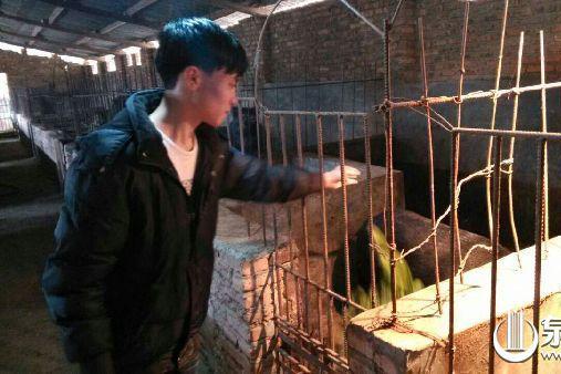 姚春僑 姚春僑