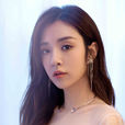 王曉晨(中國內地女演員)