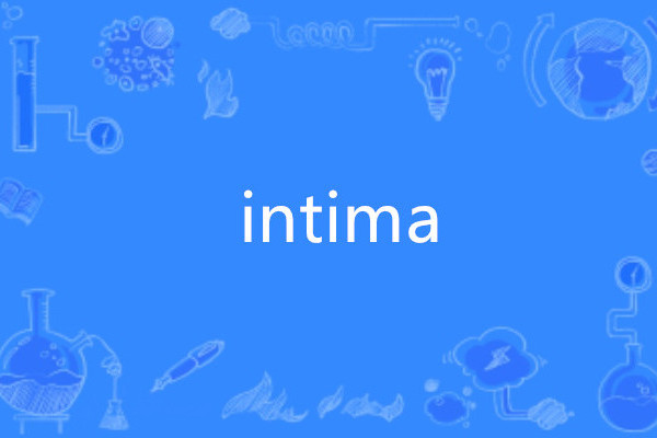 intima(英語單詞) intima(英語單詞)