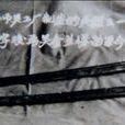 雪楓刀 雪楓刀