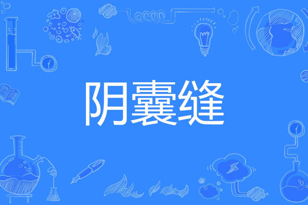 陰囊縫 陰囊縫