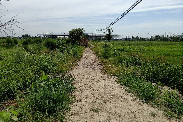 長挌遺址 長挌遺址