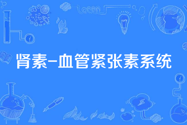 腎素-血管緊張素系統(RAS(腎素-血管緊張素系統)) 腎素-血管緊張素系統(RAS(腎素-血管緊張素系統))