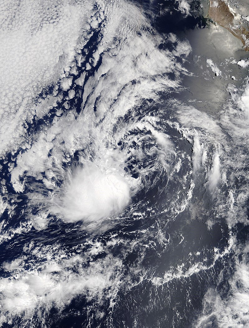 熱帶風暴達莉拉 衛星雲圖