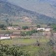 李家坪村(雲南省麗江永勝縣大安彝族納西族鄉李家坪村)