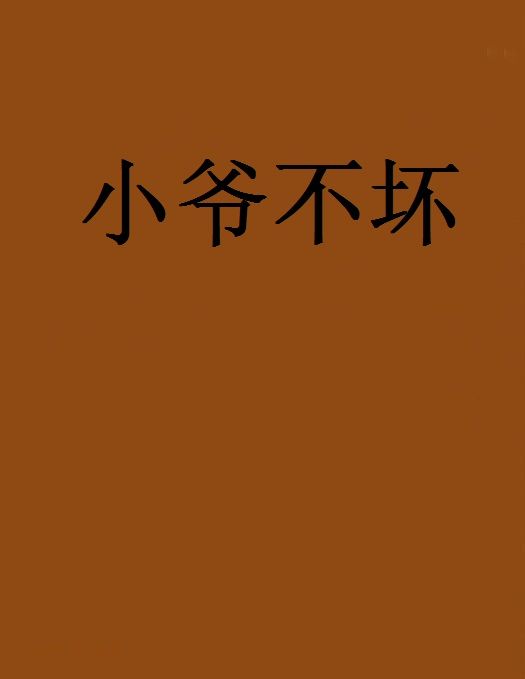 小爺不壞