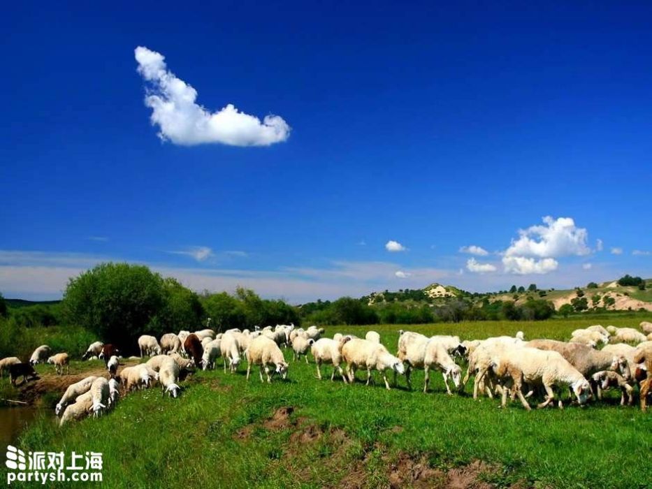 敖包特村 敖包特村