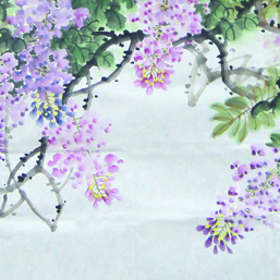 查春秀 查春秀