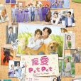 寵愛Pet Pet 寵愛Pet Pet