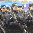 中國女子特警隊