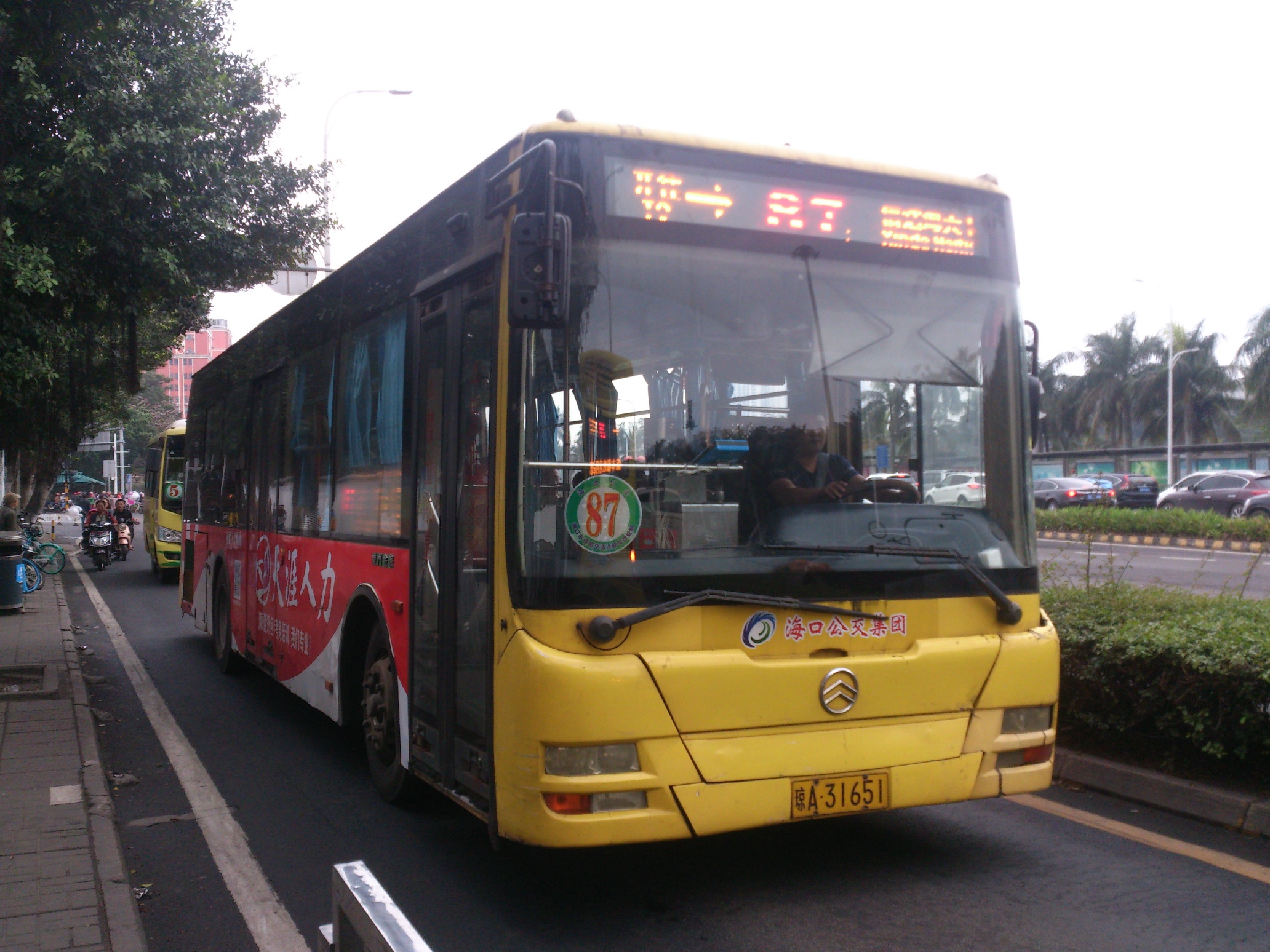 六龍巴士金旅XML6105JHEV