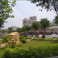 竹元村(廣東廣州市增城區中新鎮下轄村) 竹元村(廣東廣州市增城區中新鎮下轄村)