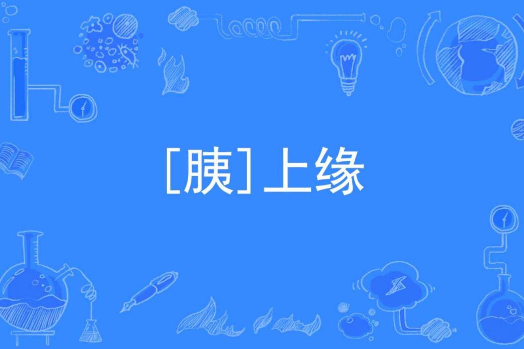 [胰]上緣