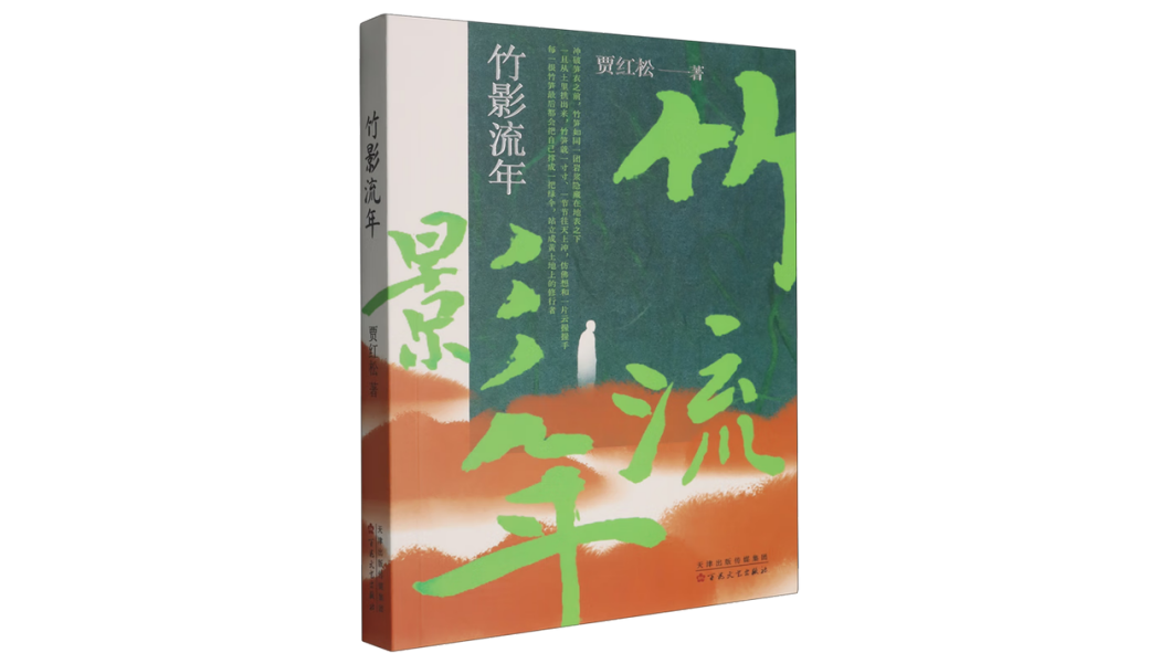 竹影流年