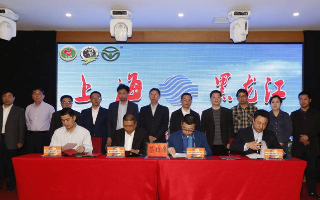 2017年克山縣與上海簽訂協定，馬鈴薯進軍上海。