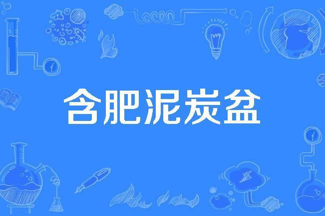 含肥泥炭盆