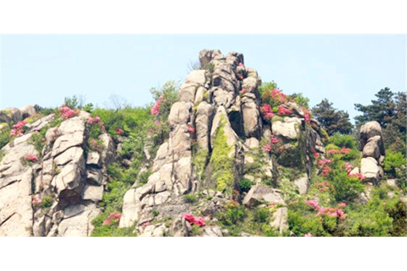 龍袍山 龍袍山
