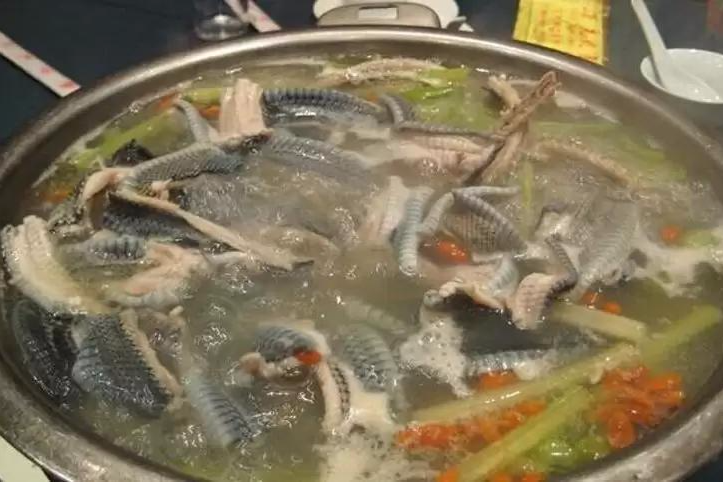 蛇肉火鍋 蛇肉火鍋
