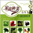 家庭種菜DIY:不一樣的蔬菜風景(家庭種菜DIY) 家庭種菜DIY:不一樣的蔬菜風景(家庭種菜DIY)