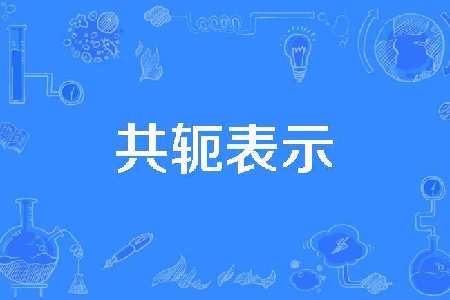 共軛表示 共軛表示