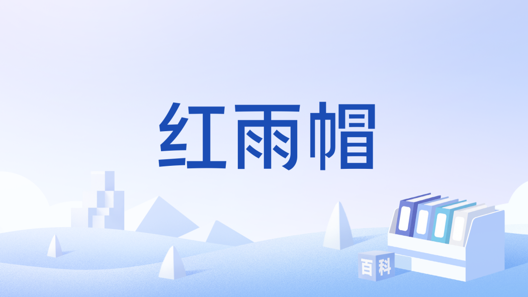 紅雨帽 紅雨帽