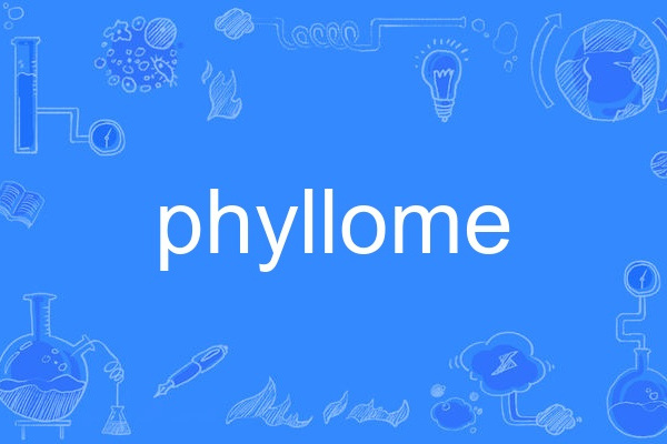 phyllome phyllome