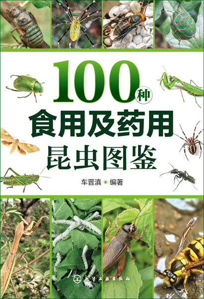 100種食用及藥用昆蟲圖鑑